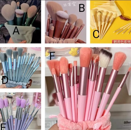 13pcs Makeup Brushes Set