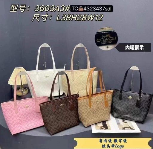 Coach Tote Bag